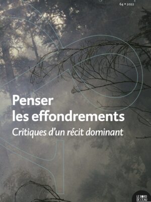 Penser les effondrements